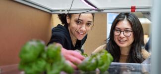 Two students working in the lab